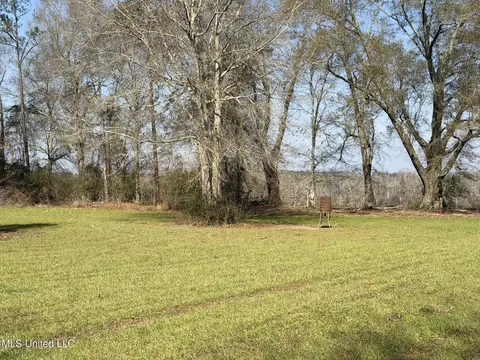 Johnson Road, Sandy Hook, MS 39478 photo 11