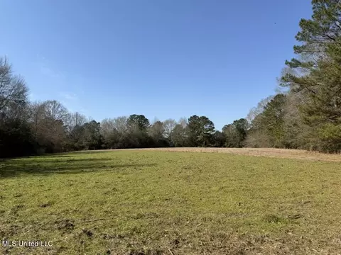 Cheramie Road, Sandy Hook, MS 39478 photo 11