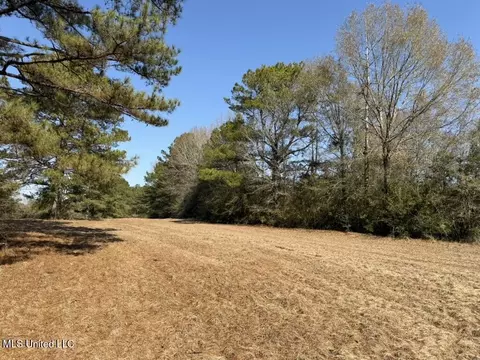 Cheramie Road, Sandy Hook, MS 39478 photo 3