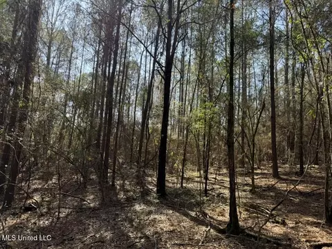 Cheramie Road, Sandy Hook, MS 39478 photo 15
