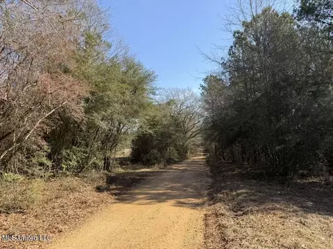 Cheramie Road, Sandy Hook, MS 39478 photo 4