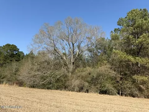 Cheramie Road, Sandy Hook, MS 39478 photo 10