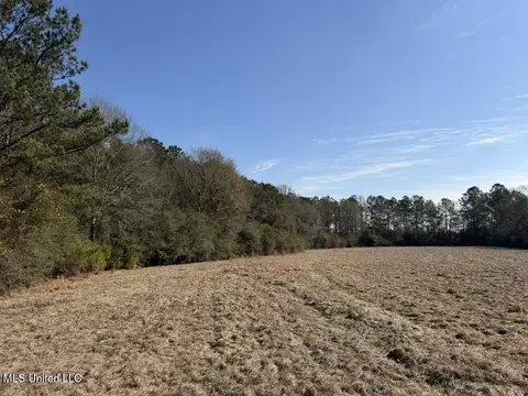 Cheramie Road, Sandy Hook, MS 39478 photo 6