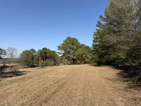Cheramie Road, Sandy Hook, MS 39478 photo 9