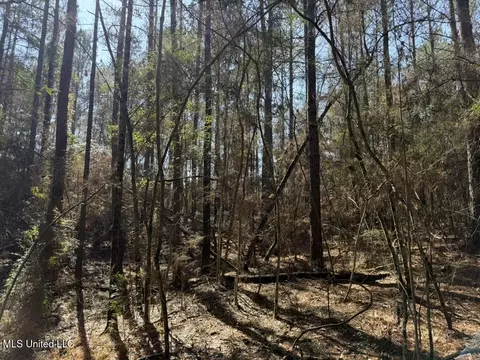 Cheramie Road, Sandy Hook, MS 39478 photo 13