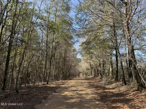Cheramie Road, Sandy Hook, MS 39478 photo 14