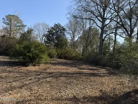 Cheramie Road, Sandy Hook, MS 39478 photo 2