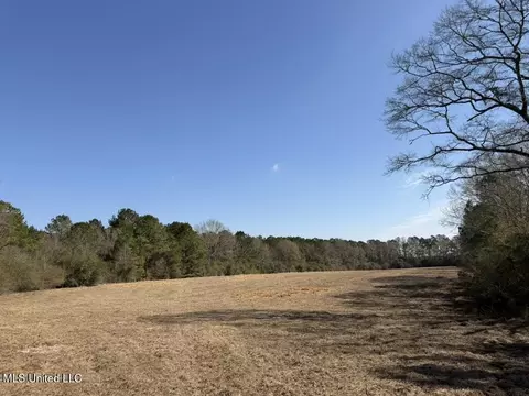 Cheramie Road, Sandy Hook, MS 39478
