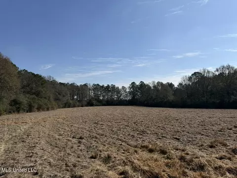 Cheramie Road, Sandy Hook, MS 39478 photo 7