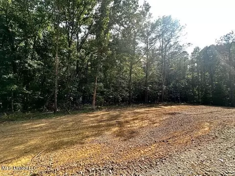 13999 Davenport Rd, Byhalia, MS 38611