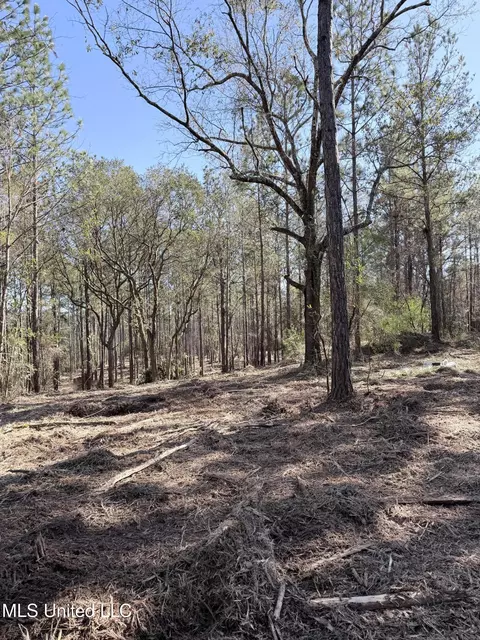 Red Bluff Road, Moss Point, MS 39562 photo 2