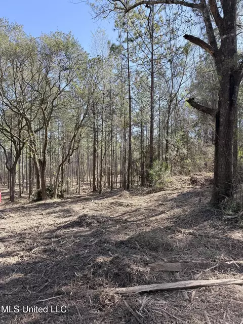Red Bluff Road, Moss Point, MS 39562 photo 3