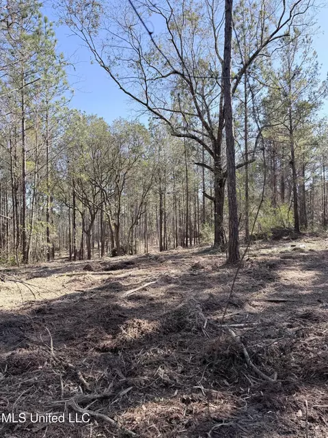 Red Bluff Road, Moss Point, MS 39562 photo 5