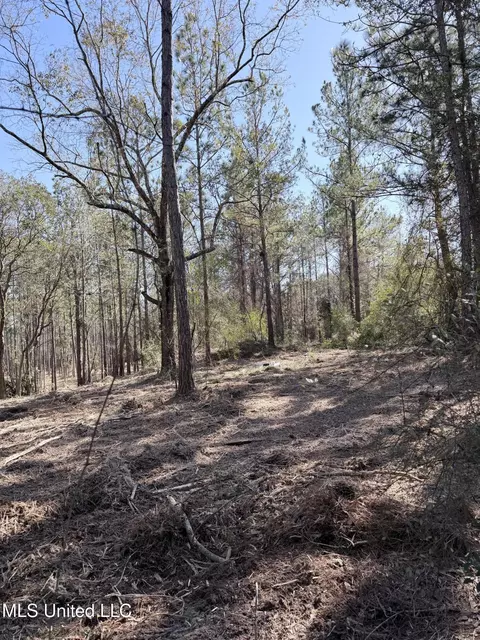 Red Bluff Road, Moss Point, MS 39562 photo 4