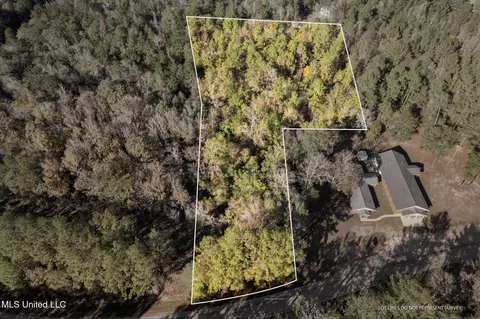 3 01 - Acres Old Okahola School Rd, Purvis, MS 39475
