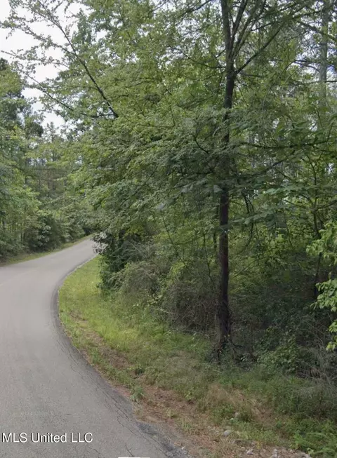 Co Rd 32, Dennis, MS 38838 photo 4