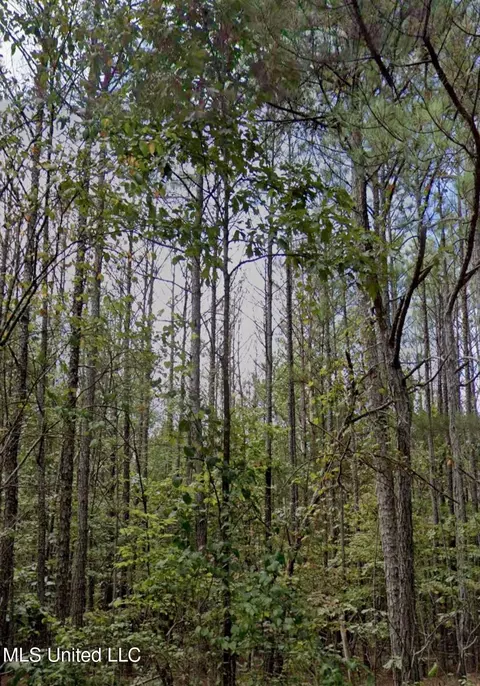 Co Rd 32, Dennis, MS 38838 photo 6
