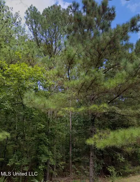 Co Rd 32, Dennis, MS 38838 photo 5