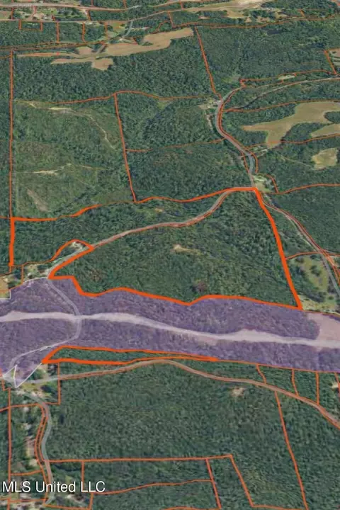 Co Rd 32, Dennis, MS 38838 photo 10