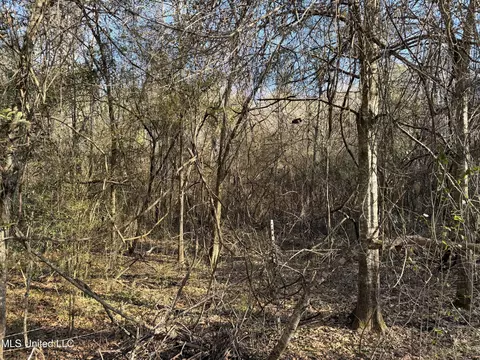 Franklin Street, Summit, MS 39666