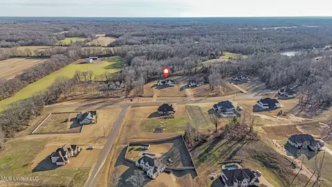 View/Area - 7899 Remington Cv, Hernando, MS 38632 photo 3 of 3
