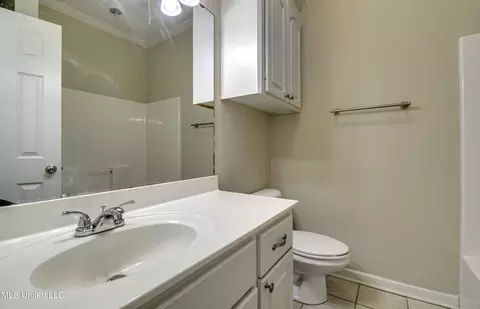Bath - 314 Turtle Holw, Brandon, MS 39047 photo 6 of 7