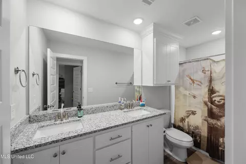 Bath - 149 Shelby Mae Cir, Brandon, MS 39042 photo 2 of 4