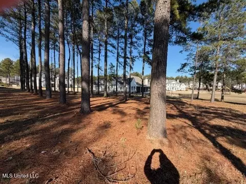 Bishop Point, Madison, MS 39110 photo 10