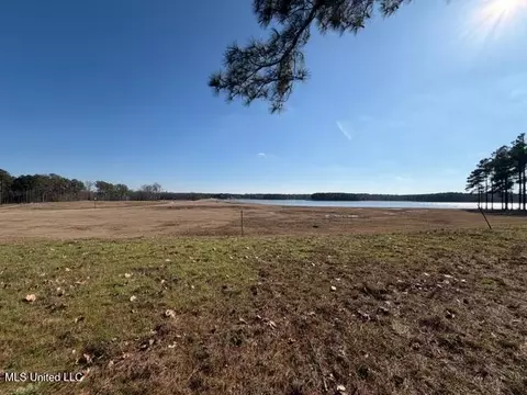 Bishop Point, Madison, MS 39110 photo 2