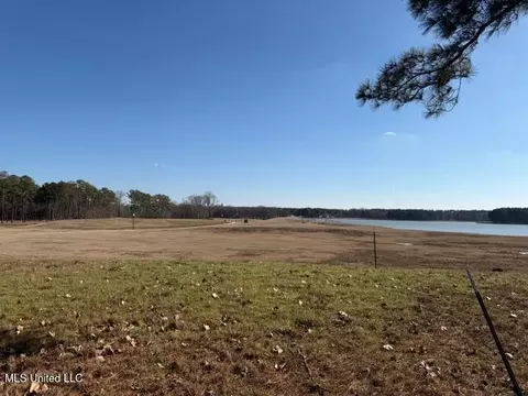 Bishop Point, Madison, MS 39110 photo 6