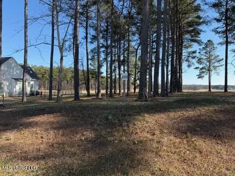 Bishop Point, Madison, MS 39110 photo 3