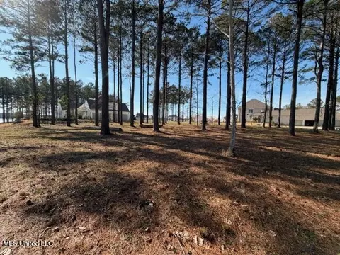 Bishop Point, Madison, MS 39110 photo 9