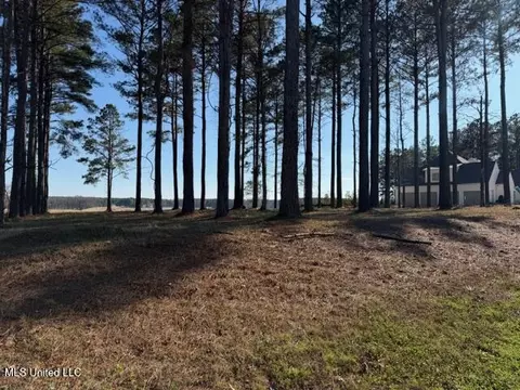 Bishop Point, Madison, MS 39110 photo 4