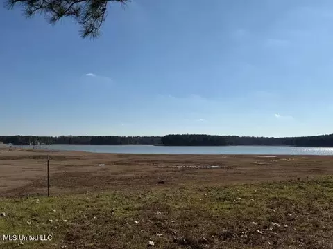 Bishop Point, Madison, MS 39110