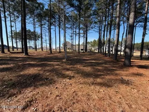 Bishop Point, Madison, MS 39110 photo 8