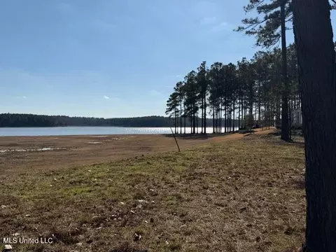 Bishop Point, Madison, MS 39110 photo 7