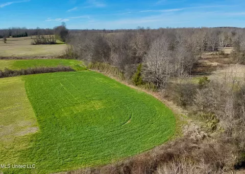 Springhill Road, Lexington, MS 39095 photo 2