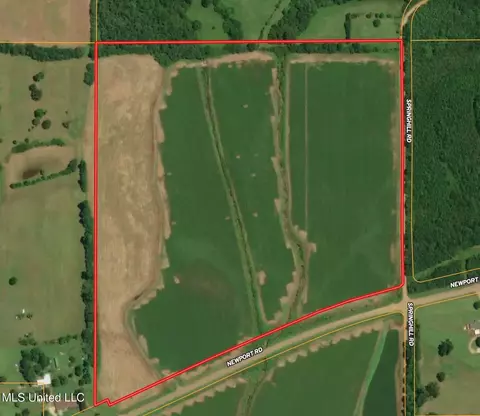 Springhill Road, Lexington, MS 39095 photo 3