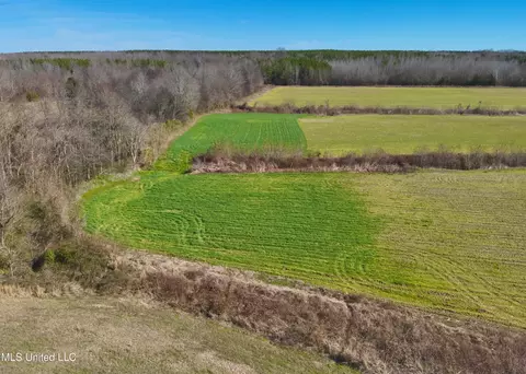 Springhill Road, Lexington, MS 39095