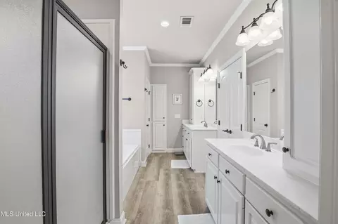 Bath - 229 Turtle Ln, Brandon, MS 39047 photo 1 of 4