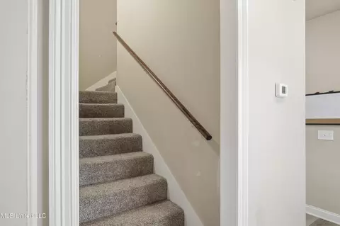 Entry Way - 229 Turtle Ln, Brandon, MS 39047 photo 8 of 9