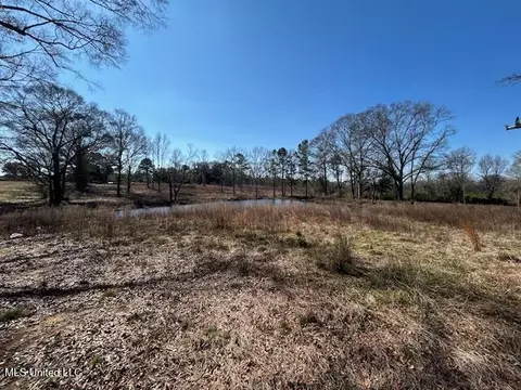 Sawmill Road, Sandy Hook, MS 39478 photo 5