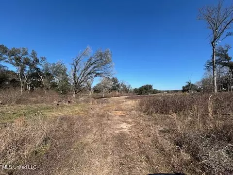 Sawmill Road, Sandy Hook, MS 39478 photo 19
