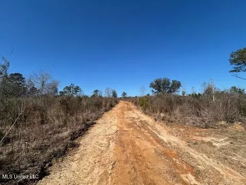 Sawmill Road, Sandy Hook, MS 39478 photo 33