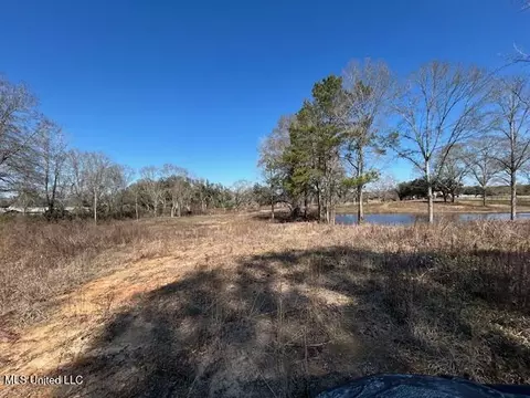 Sawmill Road, Sandy Hook, MS 39478 photo 16