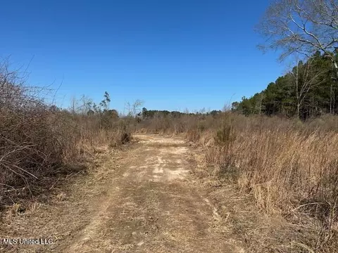 Sawmill Road, Sandy Hook, MS 39478 photo 36