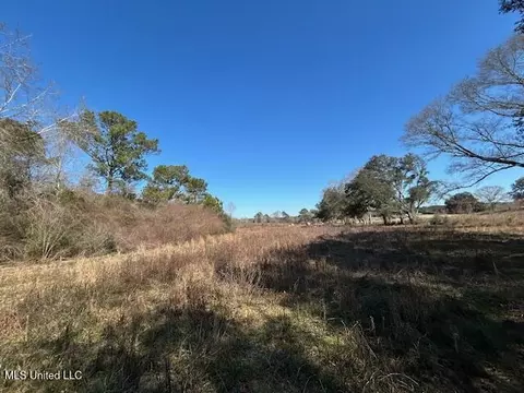 Sawmill Road, Sandy Hook, MS 39478 photo 27