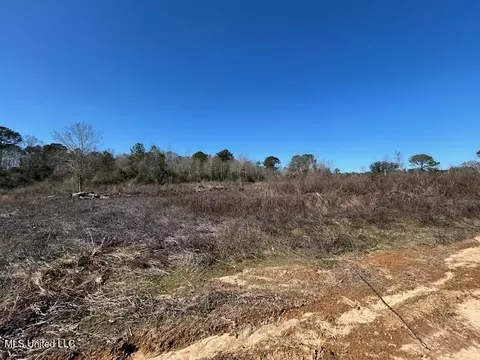 Sawmill Road, Sandy Hook, MS 39478 photo 30