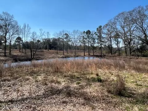 Sawmill Road, Sandy Hook, MS 39478 photo 2