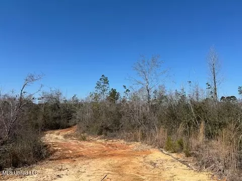 Sawmill Road, Sandy Hook, MS 39478 photo 37
